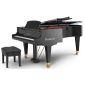 Grand Piano 225
