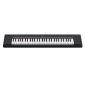 NP-15 Piaggero 61-Key Slimline Home Keyboard 