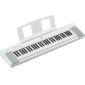 NP-15 Piaggero 61-Key Slimline Home Keyboard 
