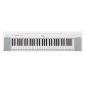 NP-15 Piaggero 61-Key Slimline Home Keyboard 