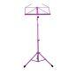 Fold-up Sheet Music Stand in Bag
