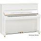 U1 Upright Piano