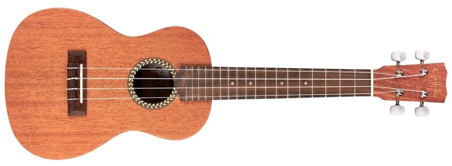 20CM Concert Ukulele