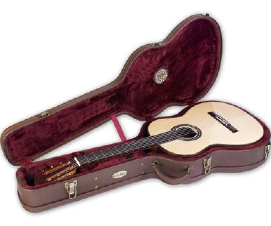 Humidified Archtop Wood Case Esteso Brown