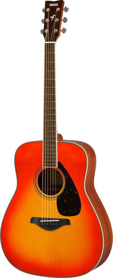 FG820 Acoustic Guitar