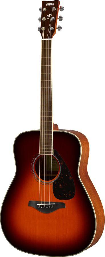 FG820 Acoustic Guitar