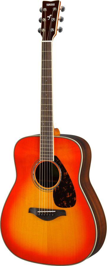 FG830 Acoustic Guitar