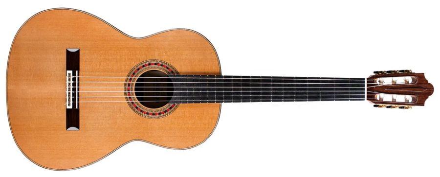 Friederich Cedar/Rosewood Acoustic Guitar