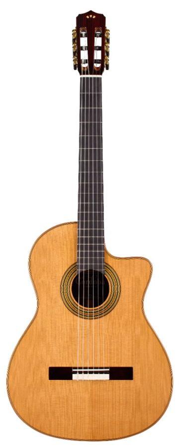 Fusion Orchestra CE Pro Guitar