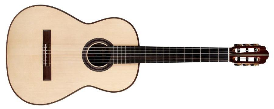 Hauser SP/IN Acoustic Guitar