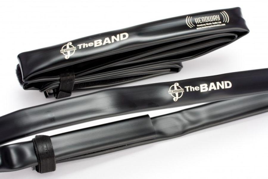 &#039;The Band&#039; Cello Pickup