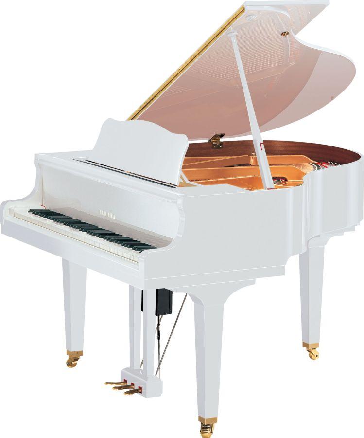 DGC1 Disklavier Enspire ST Grand Piano