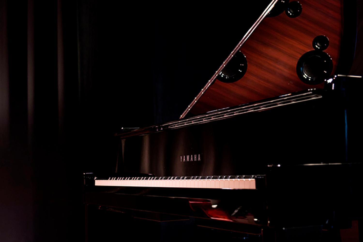 Photo of an N3X AvantGrand Piano