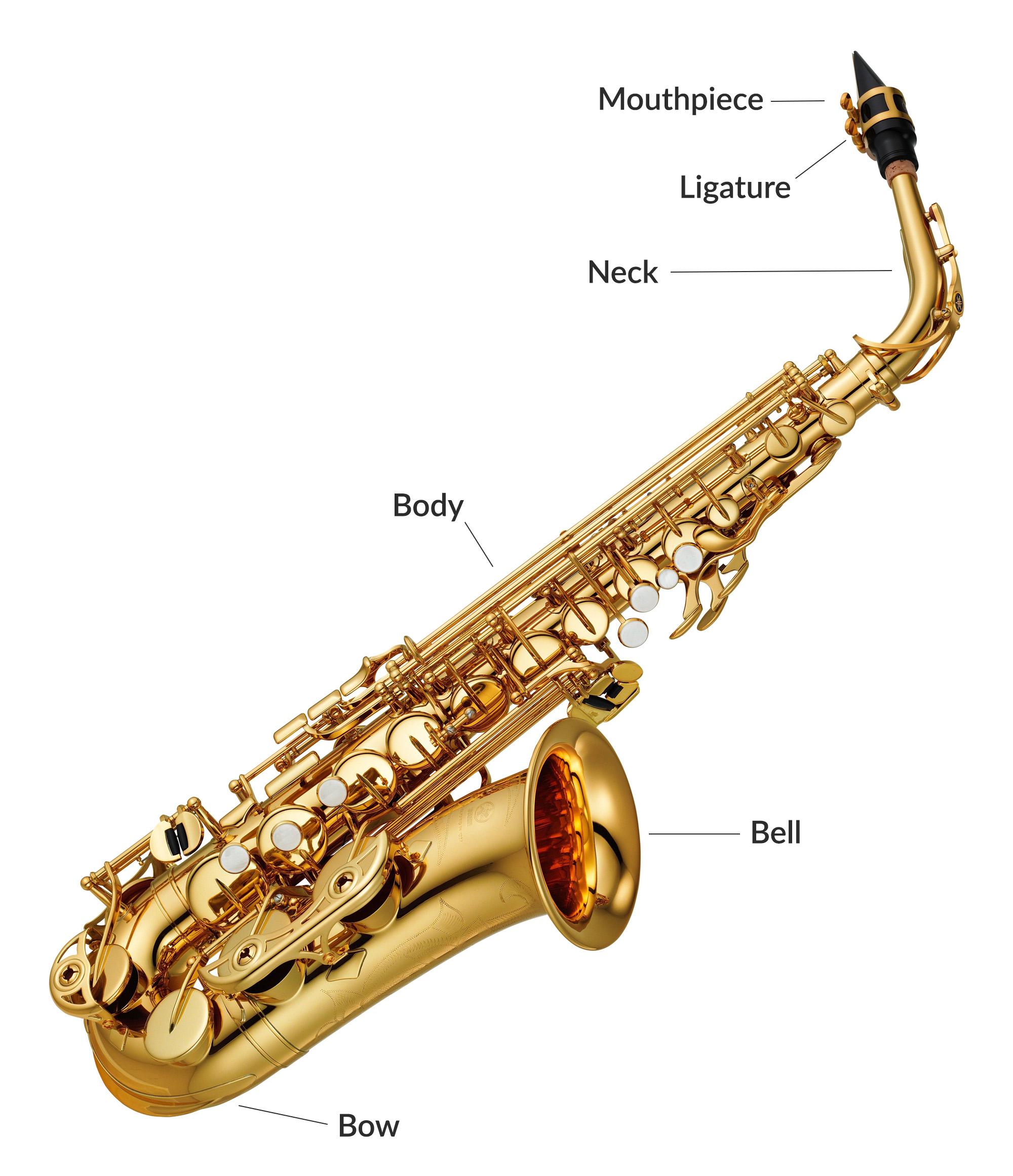 The different sections of an Alto Saxophone