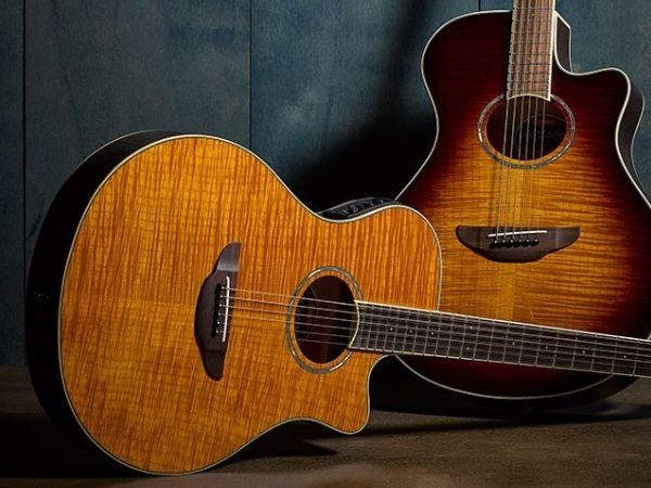Acoustic Guitars