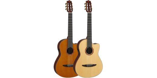 Electro-Classical Guitars