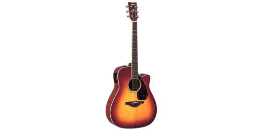 FGX-Series Electro-Acoustic Guitars