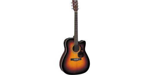 FX-Series Electro-Acoustic Guitars
