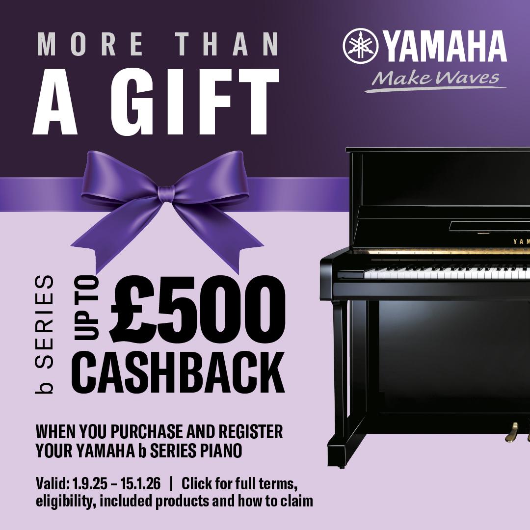 Up to £500 cashback on b Series pianos