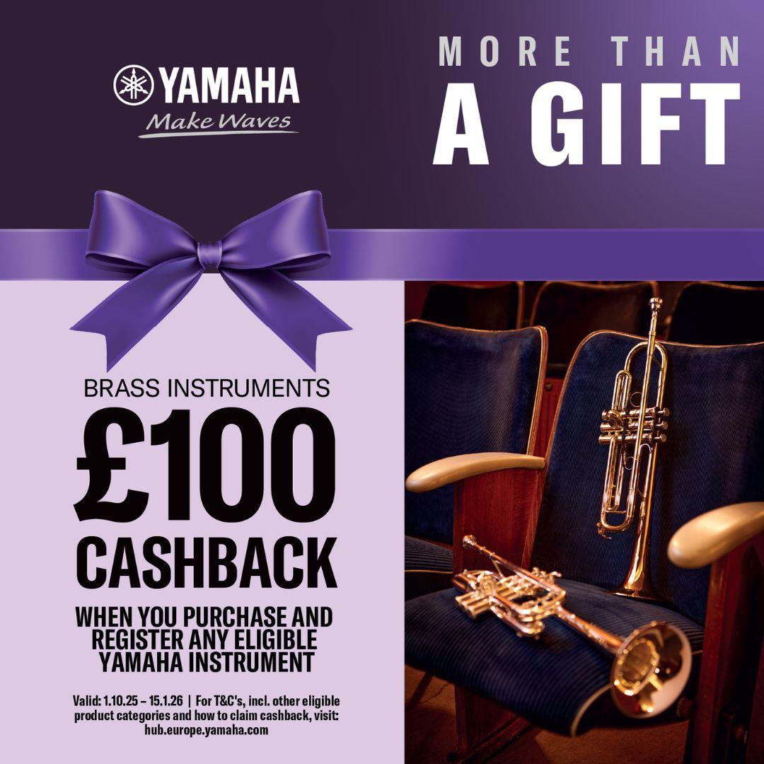 Save £100 on your next Professional or Custom wind instrument purchase.